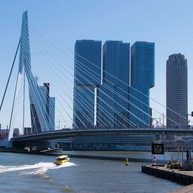 Skyline view Rotterdam van Alejandro Vivas