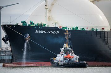 Sleepboot Peter Wessels met Marvel Pelican van Jan Georg Meijer