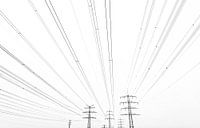 Des lignes jusqu'à l'horizon