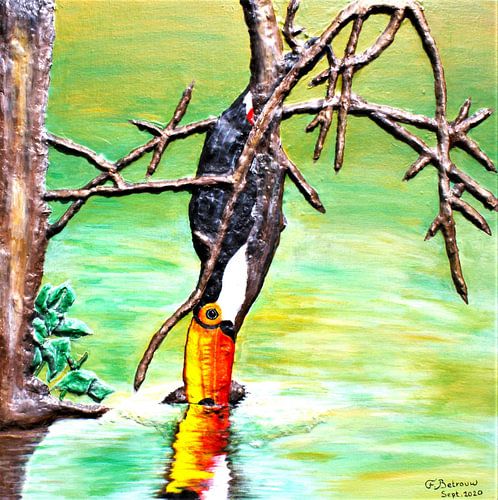 LA VIE SOCIALE DES TOUCANS TOCO sur Floris Betrouw