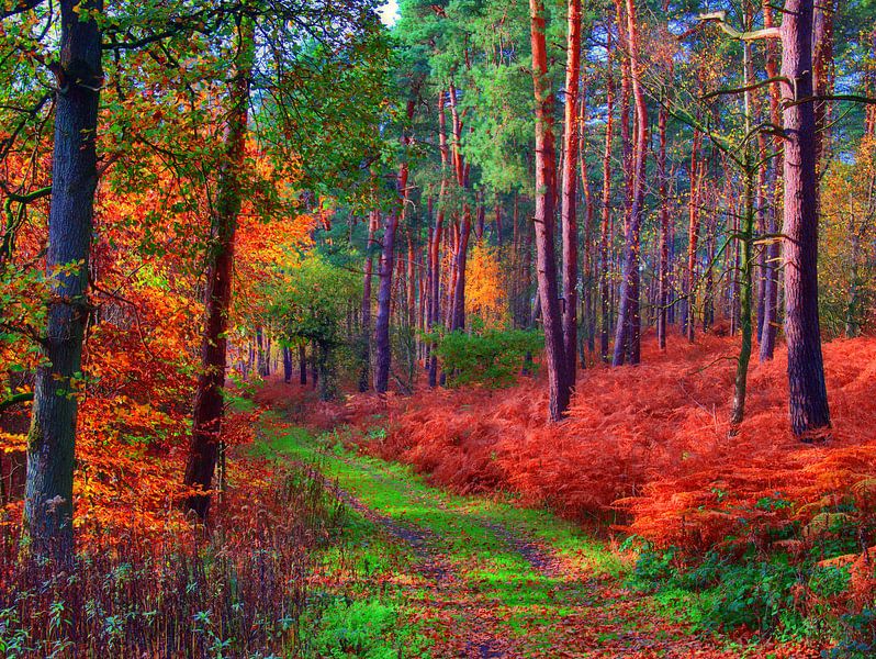 in Haard 2 van Edgar Schermaul