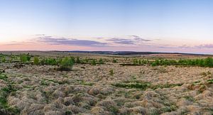 Les Haute Fagnes Belgium