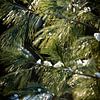 denneboom in het zonlicht in de winter met kleine sneeuwvlokjes van Karijn | Fine art Natuur en Reis Fotografie
