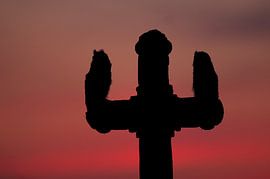 Silhouette of two young long-eared owls on a wooden cross in Hungary