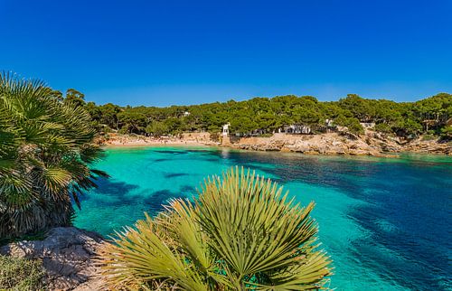 Strand Majorca eiland, mooie baai van Cala Gat, Spanje