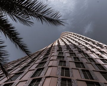 Cayan tower in Dubai
