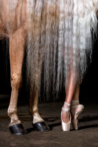 Pas de deux par Diana Bloemendal