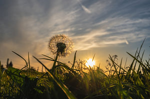 Flusenball bei Sonnenuntergang