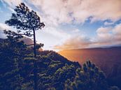 La Palma - Caldera de Taburiente by Alexander Voss thumbnail