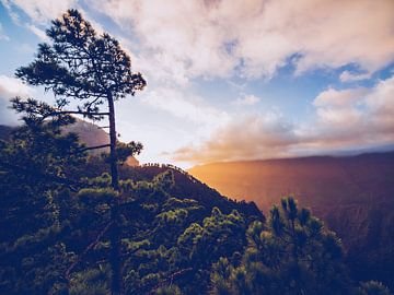 La Palma - Caldera de Taburiente van Alexander Voss