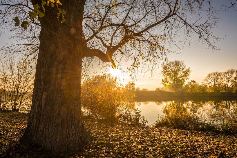 Sunrise in the Main floodplains near Frankfurt-Höchst by Christian Müringer