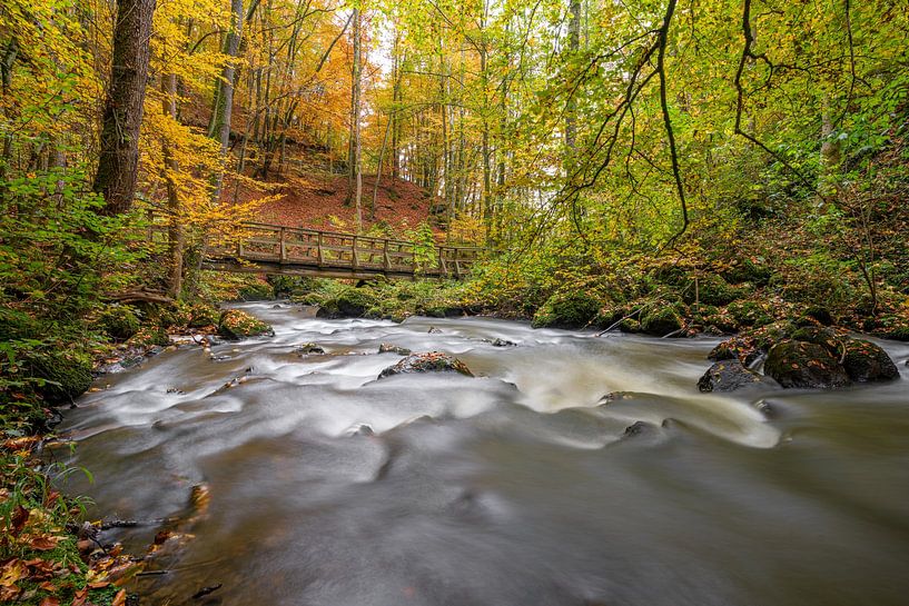 Strohner Schweiz, Rheinland-Pfalz, Deutschland von Alexander Ludwig