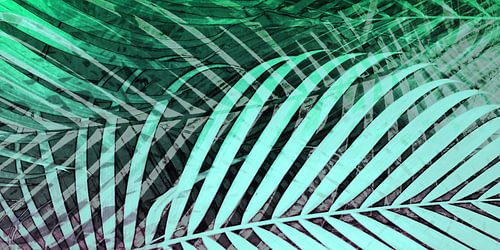 TROPISCHE PASTEL PAPAVER-1P