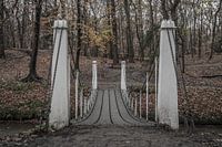Een brug naar nieuwe ontdekkingen