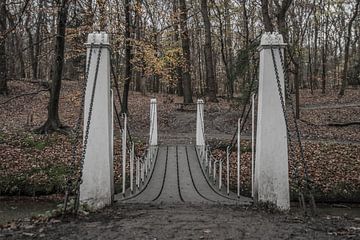 Eine Brücke zu neuen Entdeckungen von Stephan Scheffer