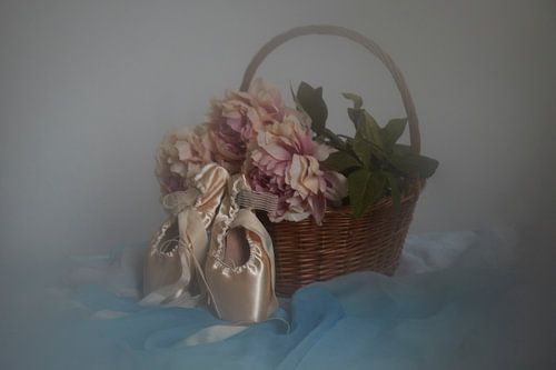 Stilleven Balletschoentjes