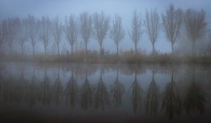 A misty morning van Wim van D