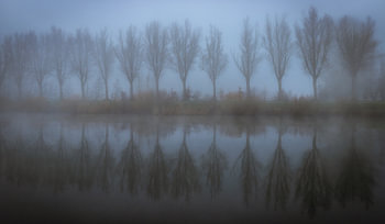A misty morning