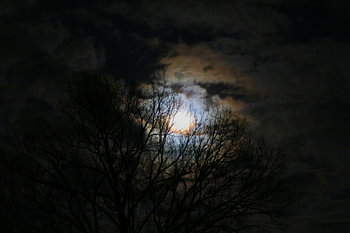 Blue Moon over Germany I