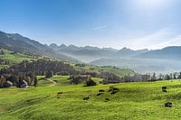 Vue sur les Churfirsten