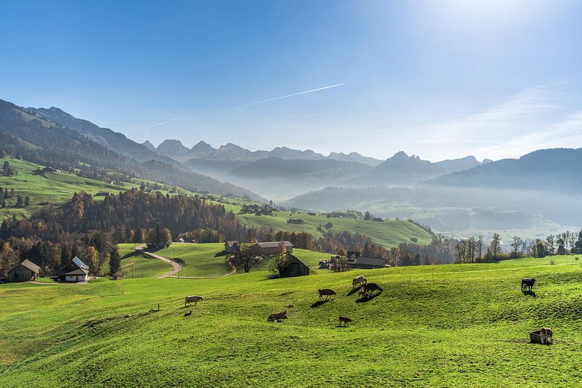 View of the Churfirsten by Conny Pokorny