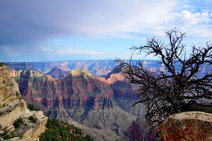 Blick vom Bright Angel Point Pfad