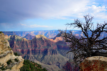 View from the Bright Angel Point trail
