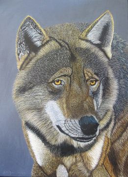 Wolf von Carla Jacobsen