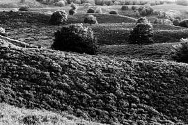 Posbank von Jessica Berendsen