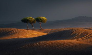 Mystieke eenzaamheid in de woestijnnacht van fernlichtsicht