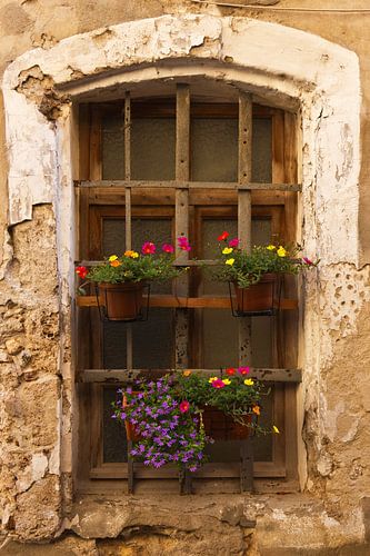 Altes Fenster mit Blumen
