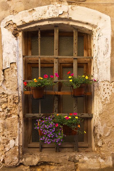 Altes Fenster mit Blumen von Anja B. Schäfer