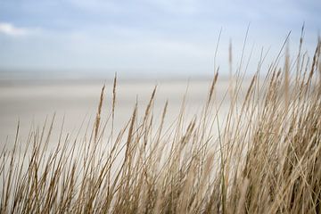 duinen en strand op Schiermonnikoog | fine art natuur foto van Karijn | Fine art Natuur en Reis Fotografie