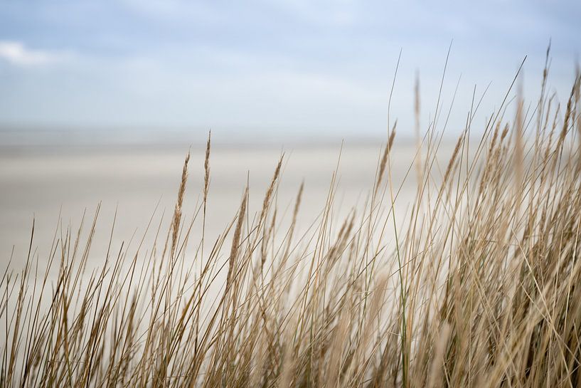 Dünen und Strand auf Schiermonnikoog | Fine Art Naturfoto von Karijn | Fine art Natuur en Reis Fotografie