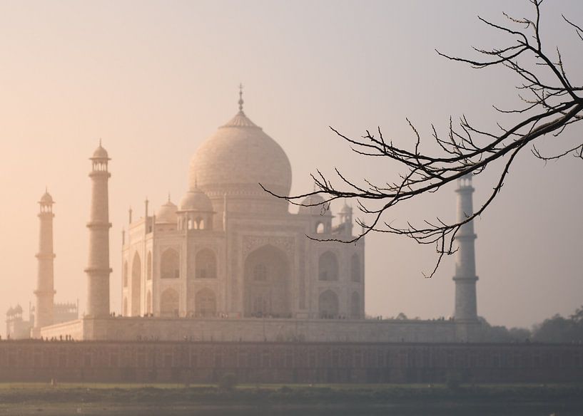 Taj Mahal by Hello Pompoyo