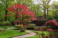 Japanese garden