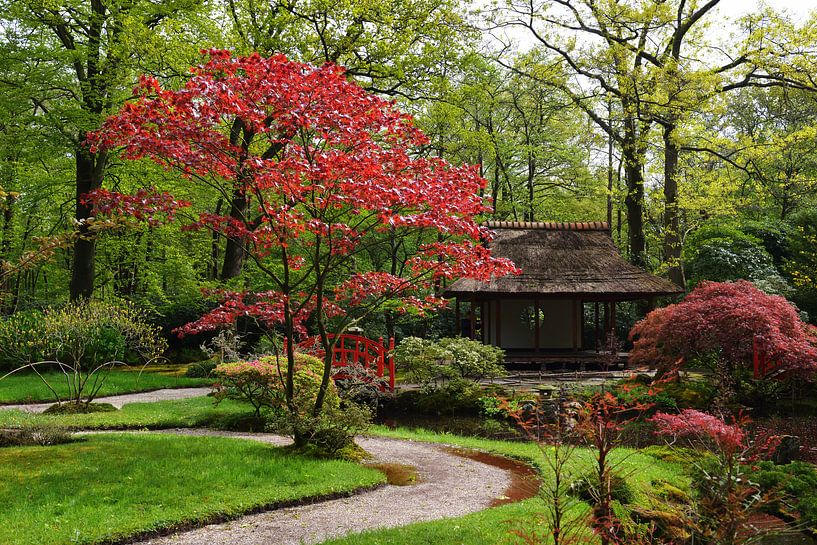 Japanischer Garten von Georges Hoeberechts