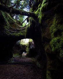 When nature takes over again . by Bart cocquart