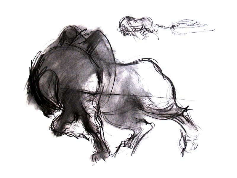 Cheval de trait par Esther van de Beek