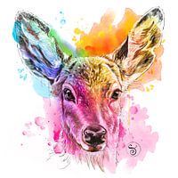 Deer