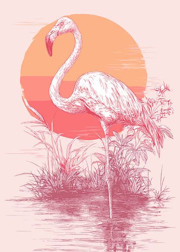 Flamingo voor zonsondergang