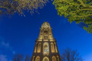Domtoren Utrecht vanaf het Domplein in de avond - 4