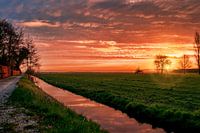 Zonsopgang in Westbroek