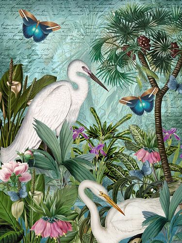 Het geheim van de kleine zilverreiger