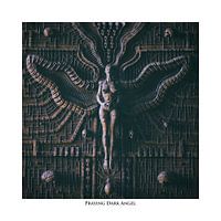 Praying Dark Angel