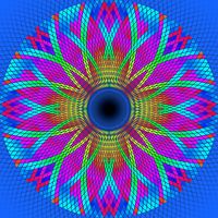 Regenbogenblume 1