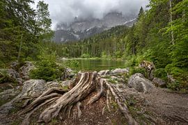 Mist onderaan de Zügspitze
