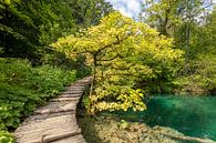 Nationalpark Plitvicer Seen in der Mitte Kroatiens von Joost Adriaanse Miniaturansicht