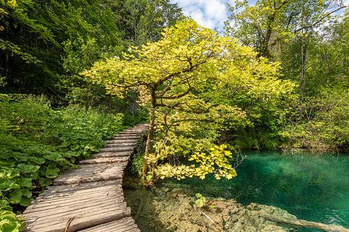Plitvice lakes national park in center of Croatia - hidden lake
