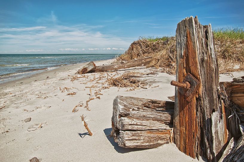 flotsam and jetsam by Dieter Beselt